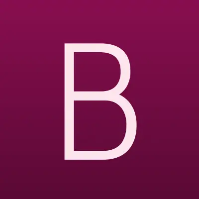 Baerpack, лого-визитка