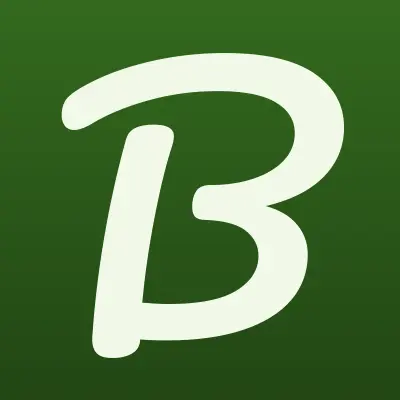 Bus & Car, компания по прокату автомобилей с водителем, лого-визитка