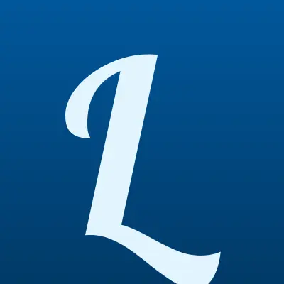 Laundi, сеть химчисток, лого-визитка